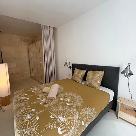 Apartment Maison Cosy Avec Rooftop Et Bbq - Roquette Arles